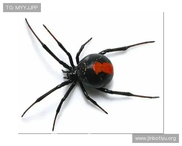 7500万白菜价到1亿欧小蜘蛛54场29球7助震撼身价飙升