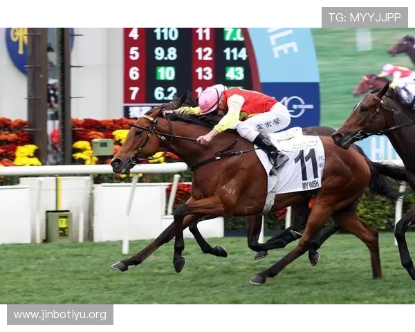 探索香港赛马会百年魅力与赛马文化创新发展之路