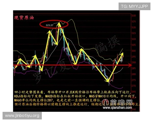 NBA总冠军赔率风云再起各队争冠格局最新变化前瞻走势深度解析