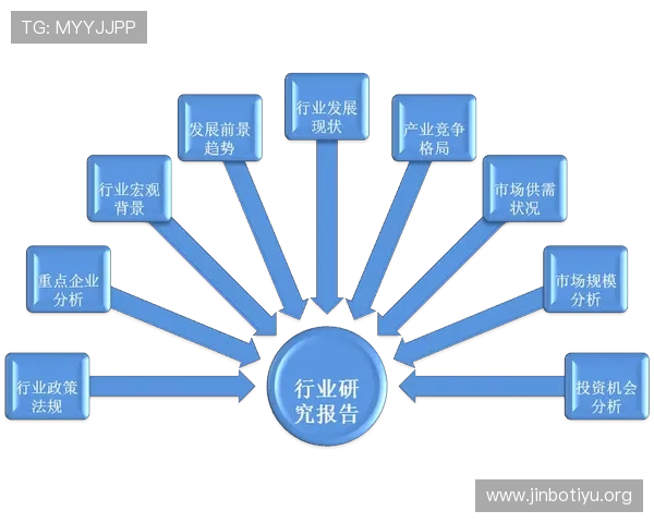 以9博为中心探讨其发展现状与行业影响及未来趋势分析深度解读与观察